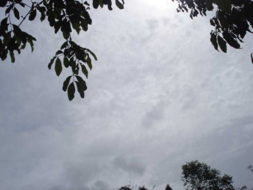 DSC09579_1